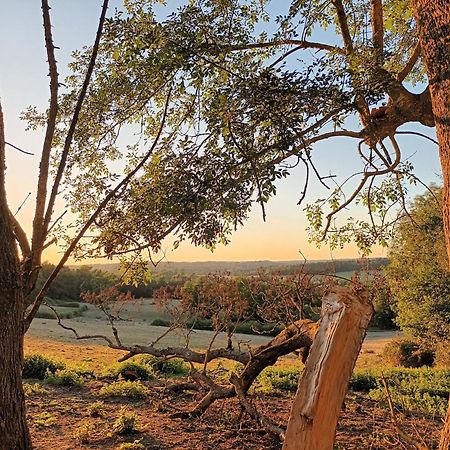 Gite Aux Bois D'En Temps Lunas  Quarto foto