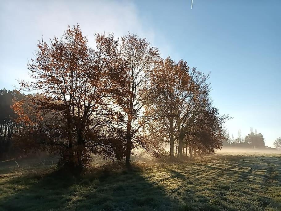 Gite Aux Bois D'En Temps Lunas  Exterior foto