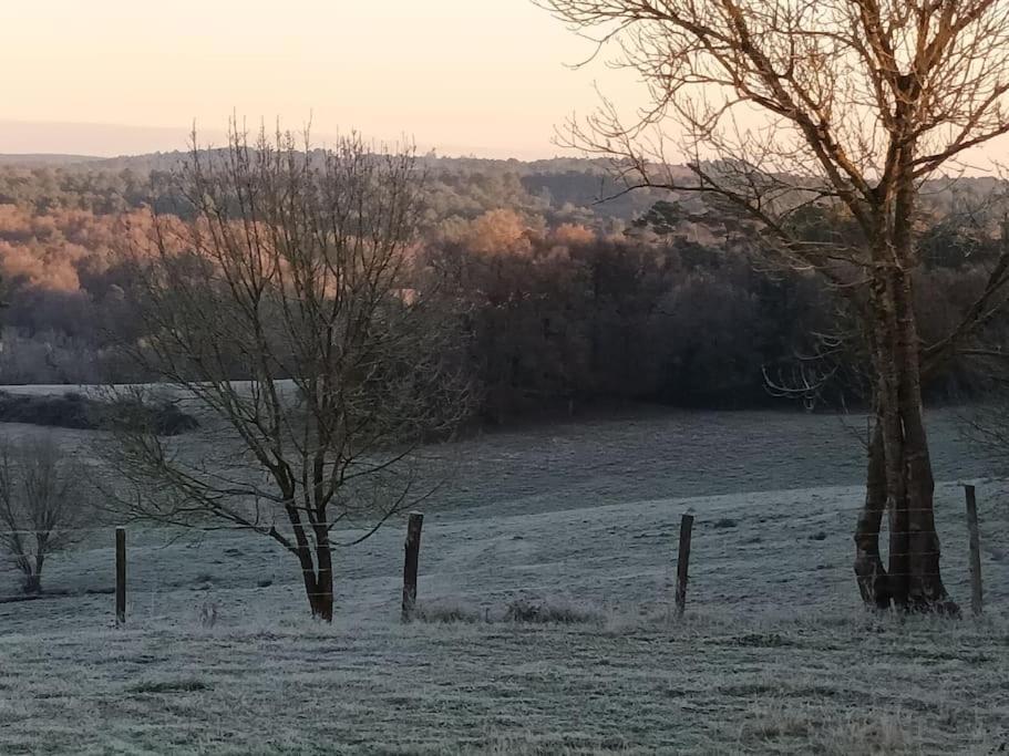Gite Aux Bois D'En Temps Lunas  Exterior foto