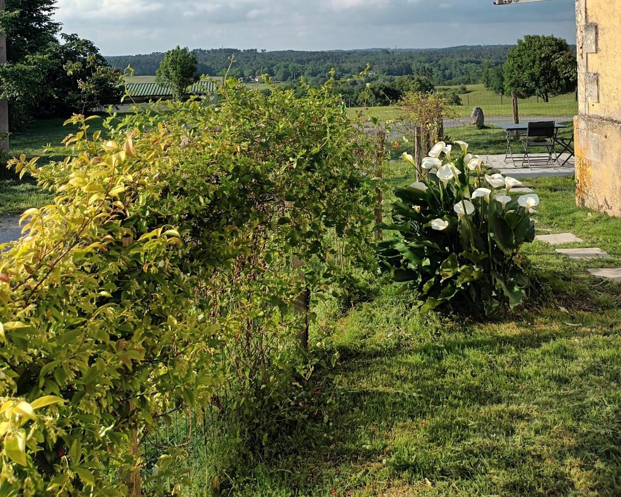 Gite Aux Bois D'En Temps Lunas  Quarto foto