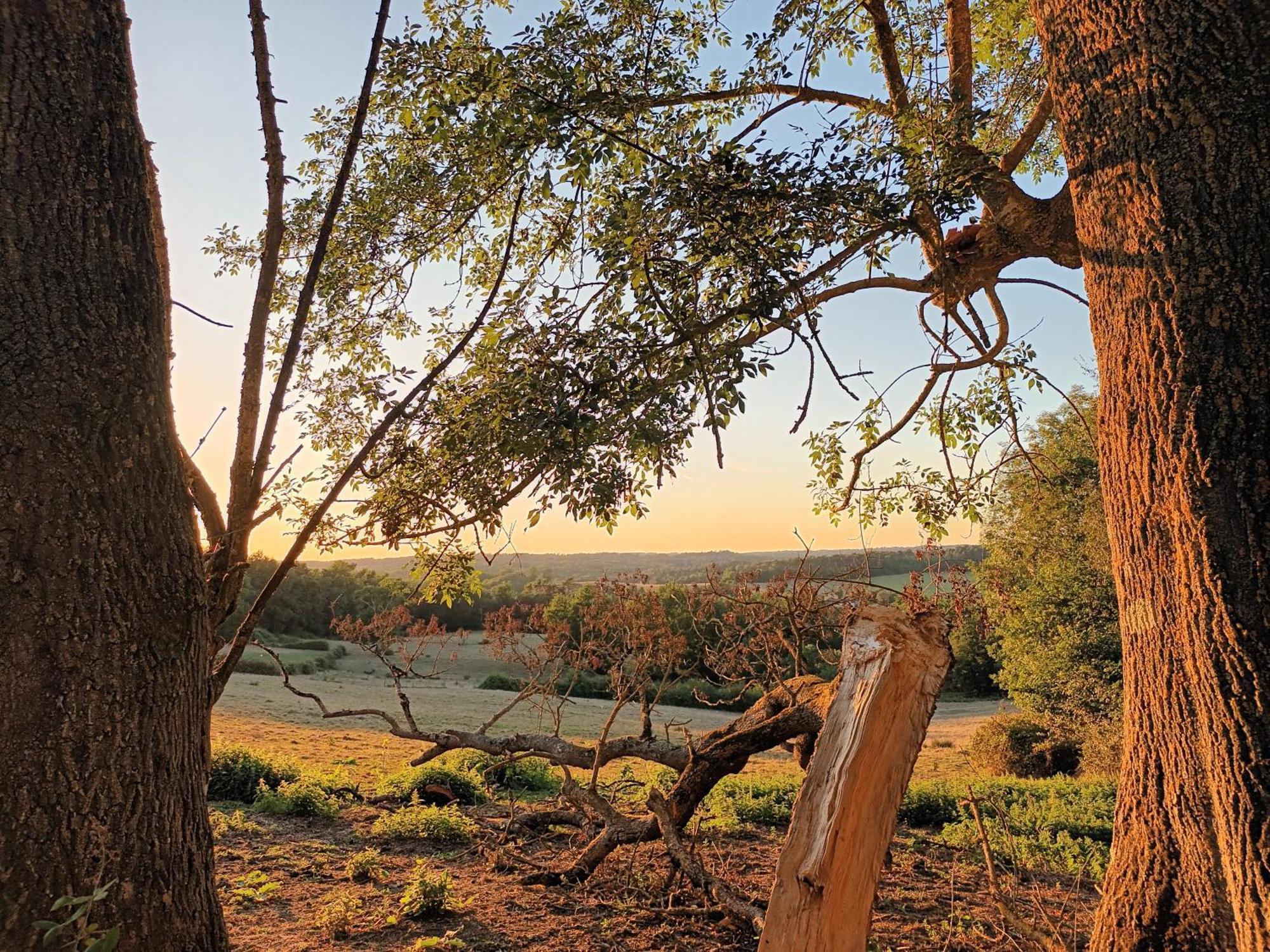 Gite Aux Bois D'En Temps Lunas  Quarto foto